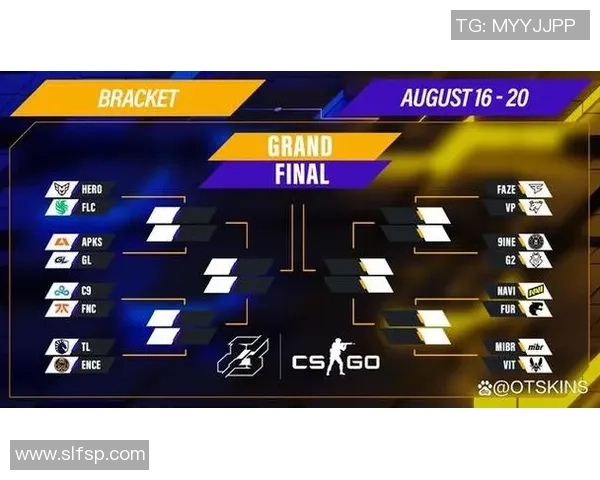 CS_GO专题：聚焦JDG的比赛经验